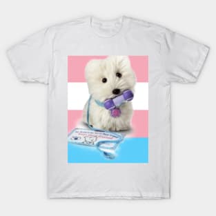 Coconut Trans T-Shirt